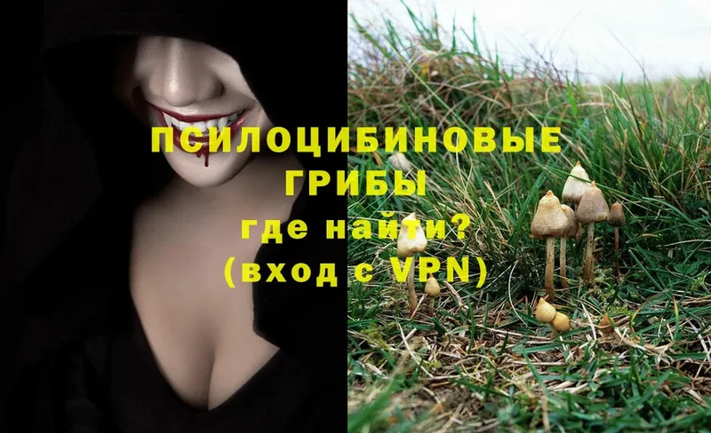 Галлюциногенные грибы Magic Shrooms  Дальнереченск 